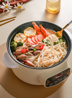 Intelligent Electric Cooking Pot, Multi functional Househol