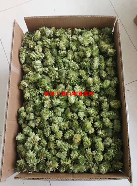 啤酒花原花干酒花精酿啤酒装饰