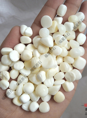 纯天然贝壳碎石福星品质好