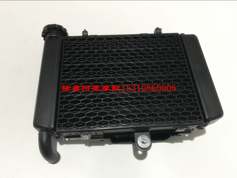 隆鑫LX300-6L LX300-6F无极300R300RR 300DS 300AC水箱风扇散热器 - 图1