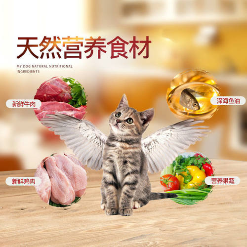 朕的金吉拉专用猫粮5斤全期天然粮美毛成猫幼猫深海鱼营养猫粮 - 图1