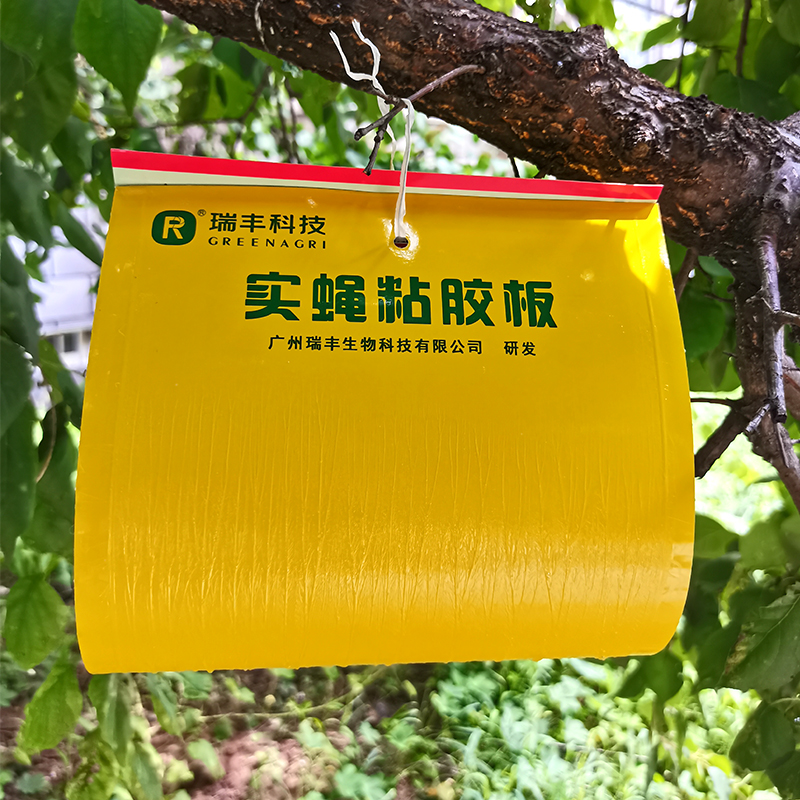 诱得多实蝇粘胶板针蜂粘果蝇贴果园苍蝇蜜蜂贴瓜果树粘蝇板果实蝇-图1