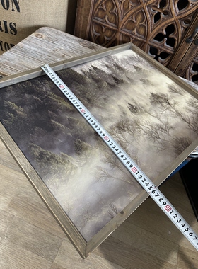 外贸样品美式乡村雾景树林装饰画晨雾山林大自然摄影图案挂画