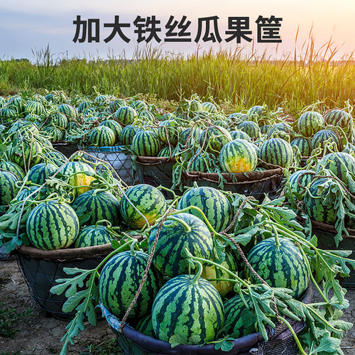 箩筐大号西瓜筐铁丝箩筐钢丝加厚瓜果水果蔬菜篮苹果萝卜花生框子 - 图1