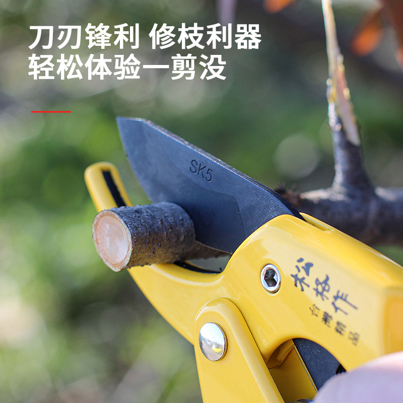 台湾松格作修枝剪果树采摘果剪园林树枝剪刀省力强力修枝园艺修花_虎窝淘