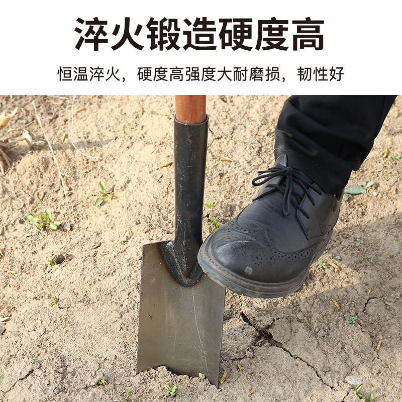 挖沟铲铁锹取土器农用挖树根工具挖坑挖土神器细长窄锹挖山药尖锹