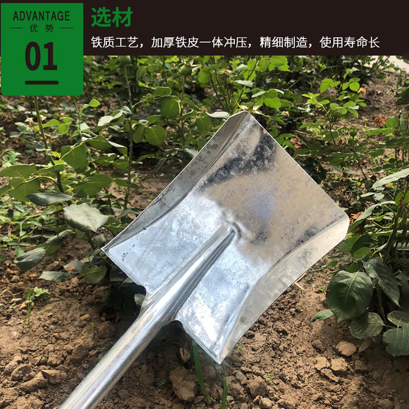 小铁锹家用小煤铲垃圾铲儿童挖土种花园艺工具遛狗铲屎方形小铁铲-图2