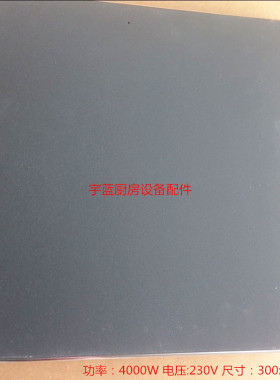 德国EGO方形电炉盘4000W 230V铸铁发热盘11.33454.246商用加热板