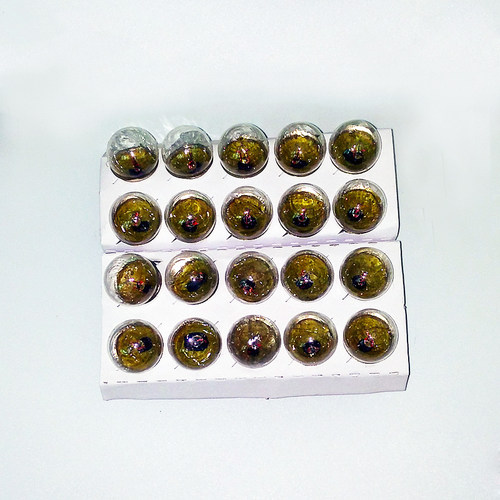 B15卡口信号指示小灯泡机床报警灯珠12V24V5W10W圆头插口单点双点 - 图2