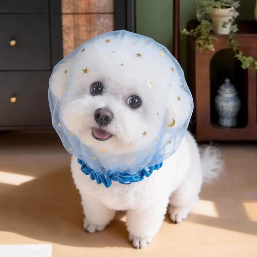 狗狗防误食头纱中小型犬专用透气网套嘴套面罩遛狗防舔防乱吃头套 - 图0