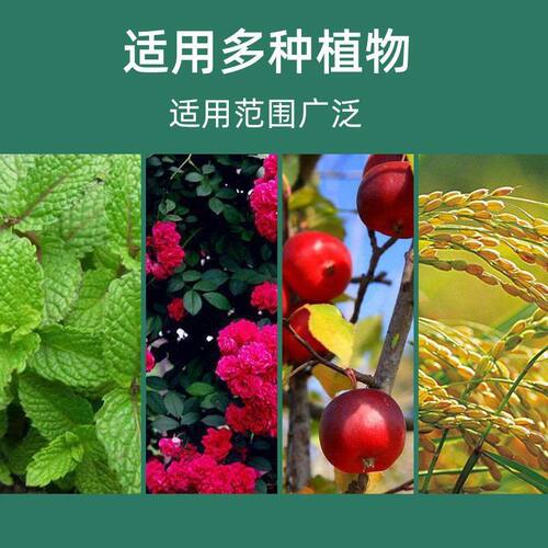 土壤活化剂改善土壤结构促进生根花卉植物水溶肥矿微生物菌剂通用 - 图2