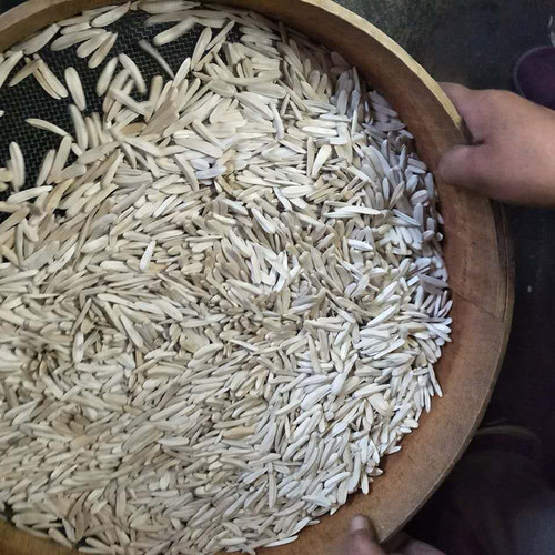 老范老兵新疆手工现炒牙签瓜子白皮原味马牙瓜子葵花籽（500g） - 图0