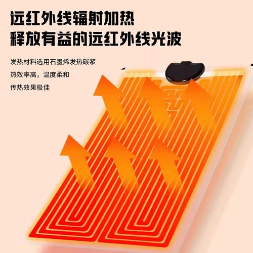 加热垫蜜袋鼯保暖神器花枝鼠鹦鹉保温灯守宫爬宠加热设备加热片 - 图3