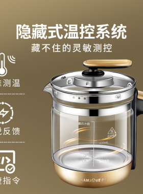 金灶HT-590多功能养生壶全自动