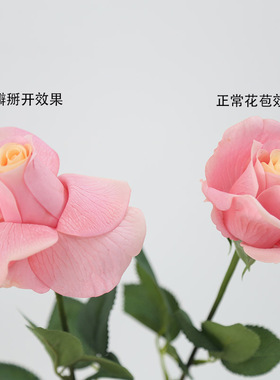 玫瑰花手感保湿仿真花婚礼配花