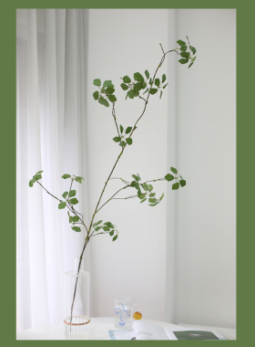 简约仿真绿植藤条客厅餐厅陈设