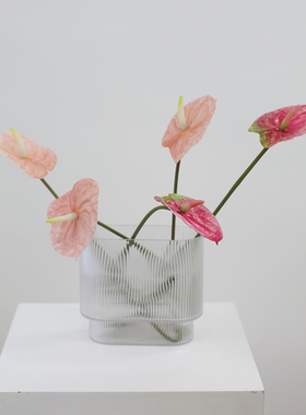 家居装饰花白掌仿真花假花插花