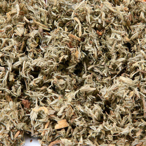 食味草精选茵陈500克 绵茵陈蒿茶白蒿 三月茵陈草新货 - 图1