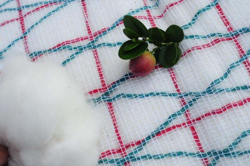 【农家纯棉被】棉被棉花被胎加厚保暖垫被棉被芯棉絮床垫被子冬被,淘宝优惠券,粉丝福利购,淘宝优惠卷