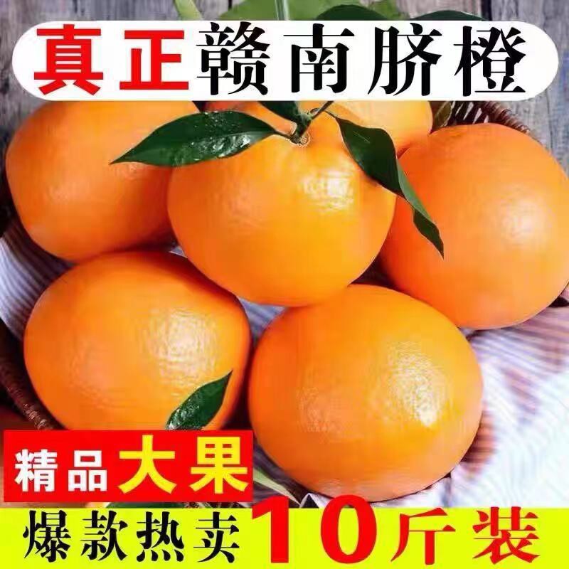 正宗赣南脐橙黄土土质自家果园现摘现发维C孕妇水果