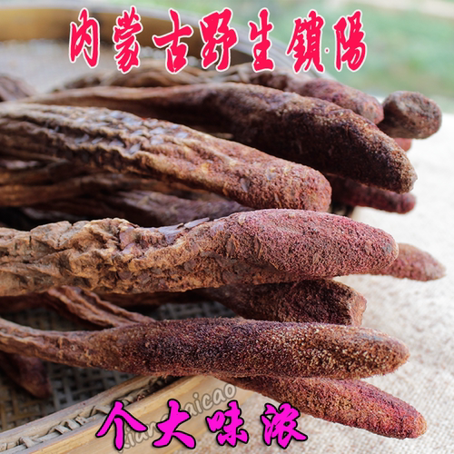锁阳中药材泡酒料男性滋补金锁阳片500g泡茶煲汤锁阳粉可搭淫羊藿 - 图0