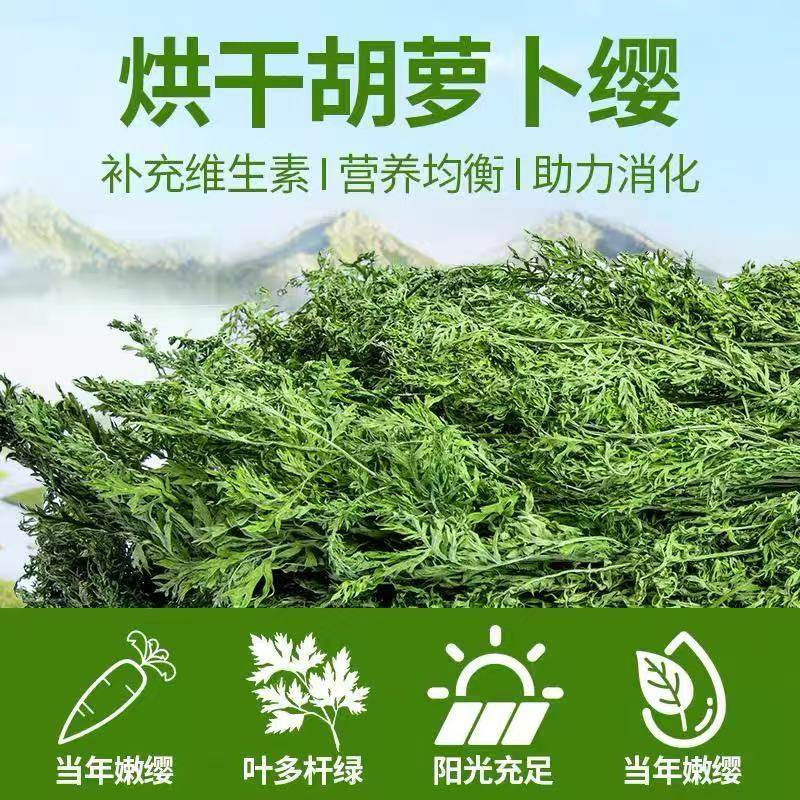 烘干胡萝卜缨兔子龙猫豚鼠保健草补充维C美毛亮毛助消化干草牧草,淘宝优惠券,粉丝福利购,淘宝优惠卷