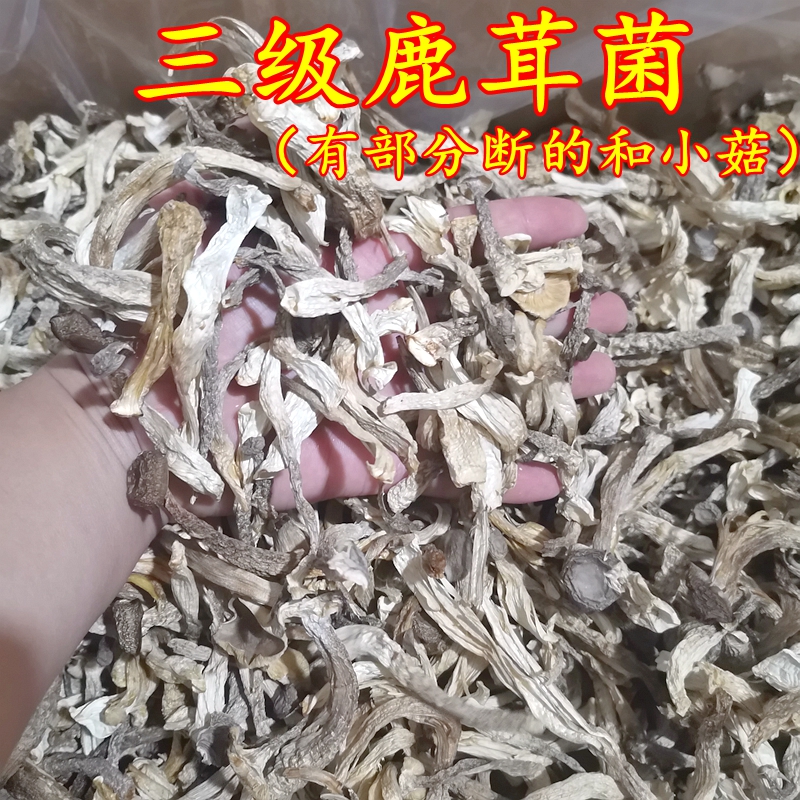 鹿茸菌干货菌菇250克云南特产包装山珍蘑菇优质鹿茸菇正品保障-图2