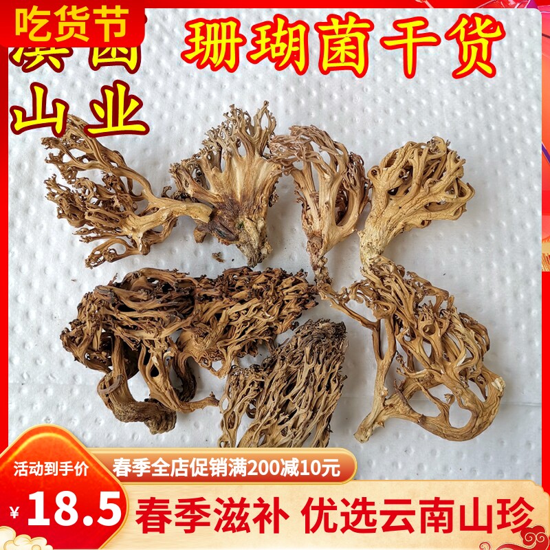 野生珊瑚菌干货 云南深山山珍野生蘑菇香菇稀有美食用菌农产品