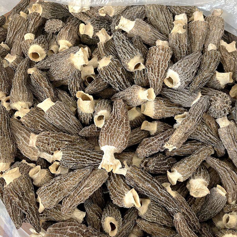 羊肚菌干货肉厚 云南山珍煲汤食材礼盒非新鲜特级野生云南菌子,淘宝优惠券,粉丝福利购,淘宝优惠卷