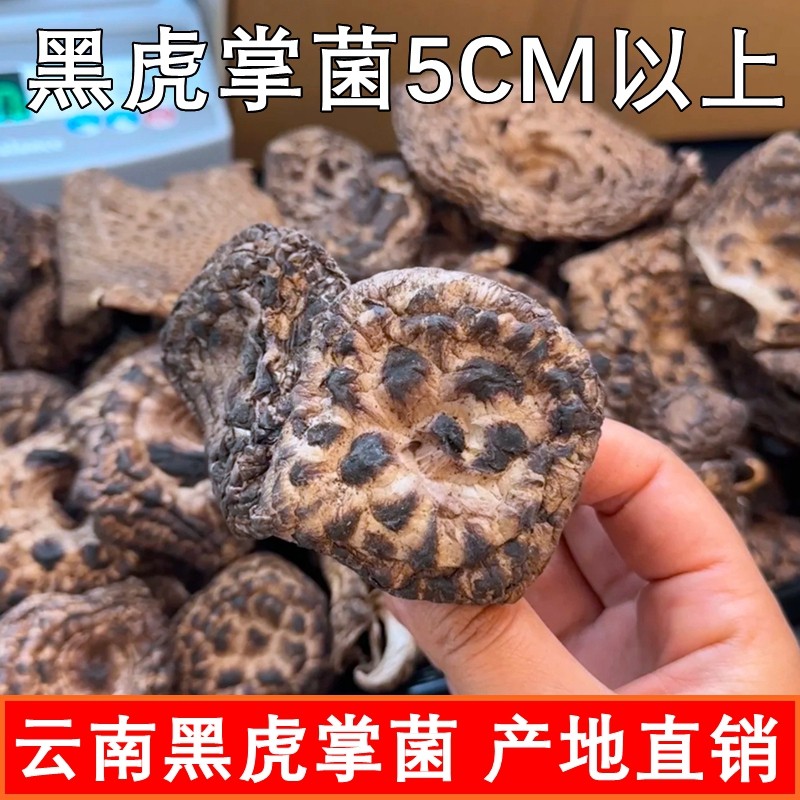 野生黑虎掌菌干货非新鲜山珍美食异香浓郁味道鲜美稀有云南菌子,淘宝优惠券,粉丝福利购,淘宝优惠卷