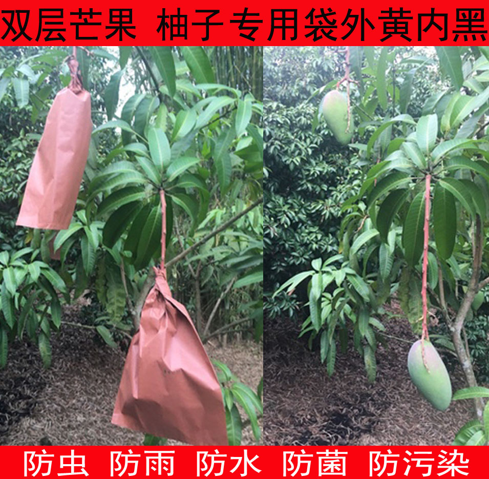 芒果专用套袋大金煌青芒鹰嘴芒柚子象牙芒防雨水防虫青芒枇杷套袋