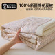 Class A summer quilt Xinjiang cotton quilt 100% cotton summer cool quilt
