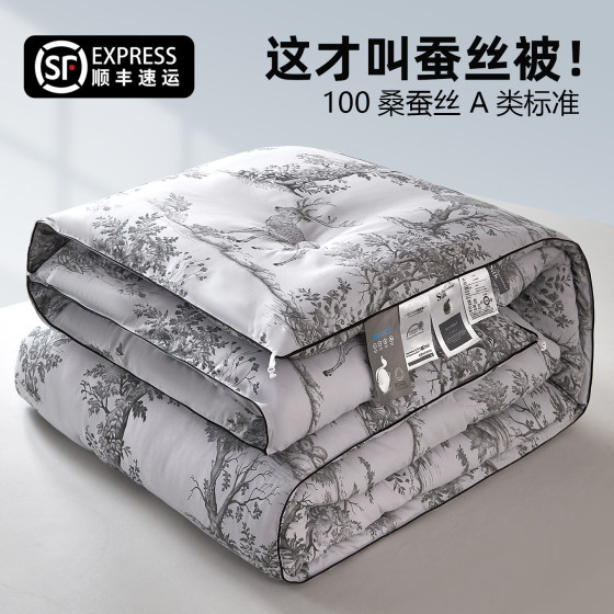 Silk Quilt 100 Mulberry Silk Spring and Autumn Quilt Universal for Four Seasons
