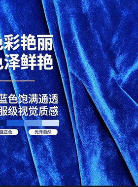 宝蓝韩国绒金丝绒布料