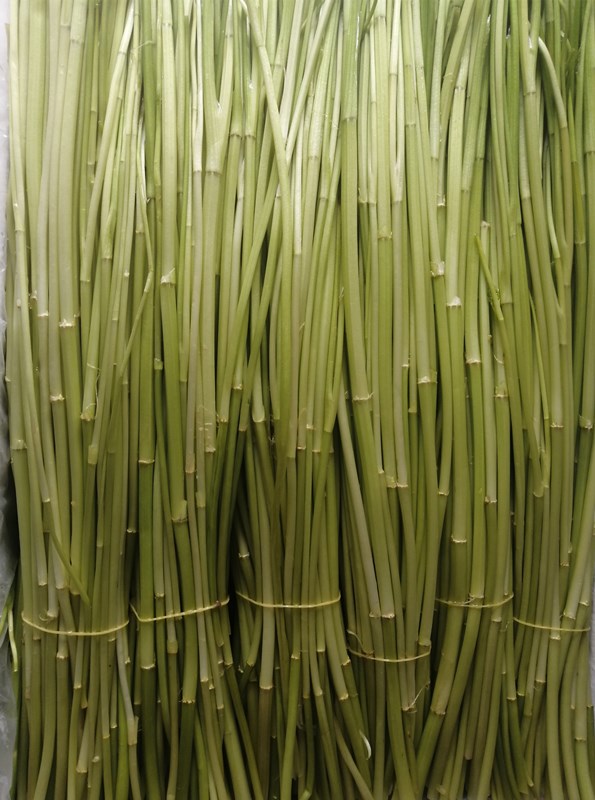 新鲜蔬菜原生态小叶水芹菜无节水芹去叶纯杆农家自种3斤装包邮