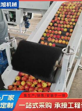 全自动百香果克选机 脐橙糖度花皮自动检测选果机 源头厂家供应