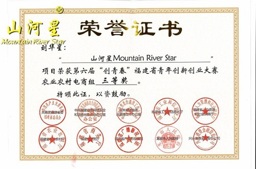 千河星青砖头古代建筑明代乾隆旅游景区收藏古玩古董孤品历史文化 - 图2