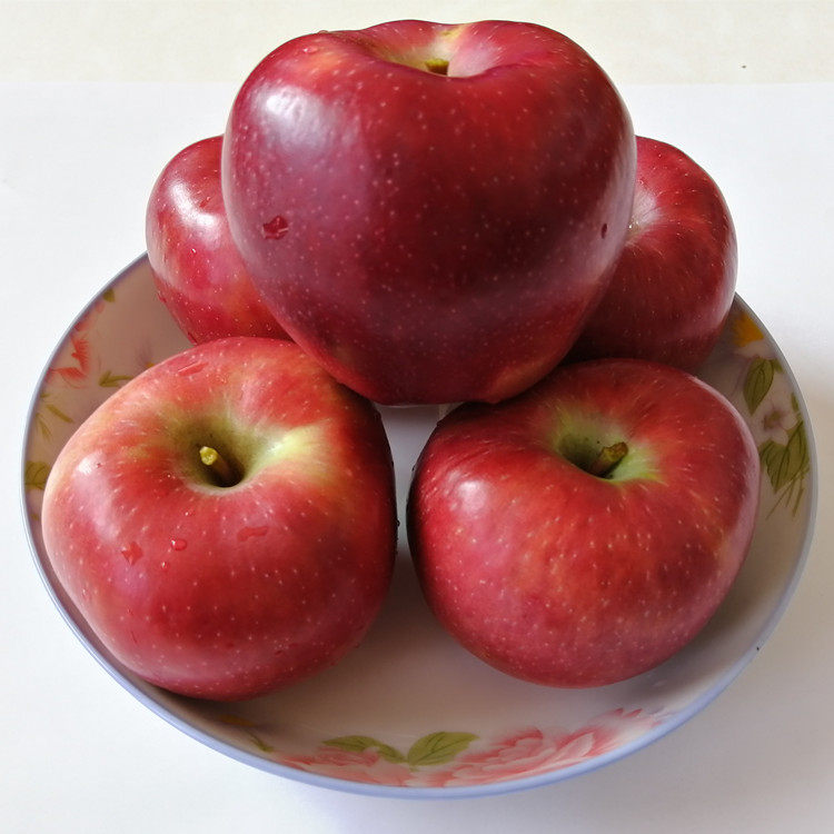 山西隰县红星苹果现摘新鲜粉面沙苹果宝宝老人吃的婴儿刮泥水果,淘宝优惠券,粉丝福利购,淘宝优惠卷