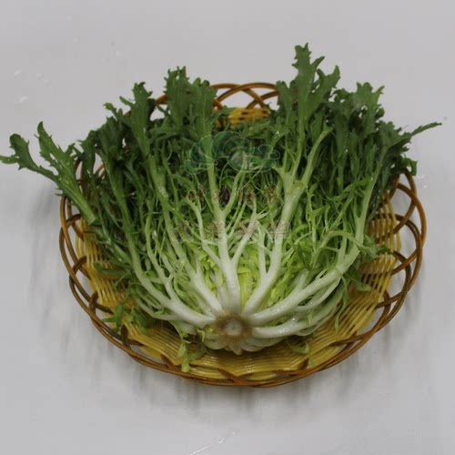 特新鲜蔬菜苦菊 苦苣菜苦叶狗牙生菜沙拉菜西餐配料 沙拉生菜250g - 图0