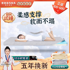 Тюфяк пены памяти 凝胶记忆棉床垫慢回弹十大名牌榻榻米垫褥子软垫家用学生宿舍单人