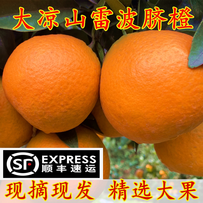 四川大凉山雷波脐橙纽荷尔脐橙新鲜水果现摘现发10斤大果顺丰包邮