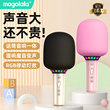 Microphone audio integrated microphone wireless bluetooth karaoke