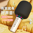 Microphone audio integrated microphone wireless bluetooth karaoke