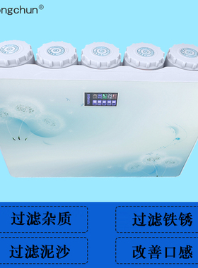 松纯净水器RO膜过滤器家用除水垢纯水机智能净水机反渗透净水器