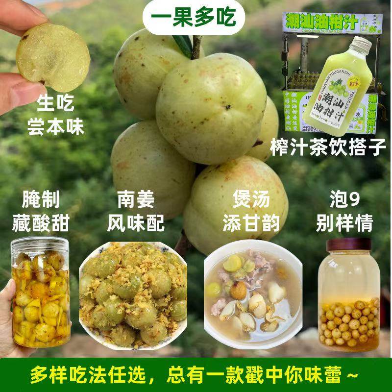 正宗潮州柿饼甜油甘新鲜油甘果余甘牛甘鲜果孕妇水果滇橄榄崩砍,淘宝优惠券,粉丝福利购,淘宝优惠卷