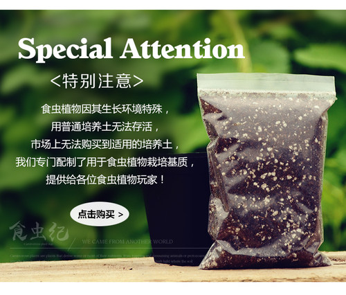 食虫植物专用培养颗粒土栽培基质珍珠岩粗泥炭水苔促销 - 图3