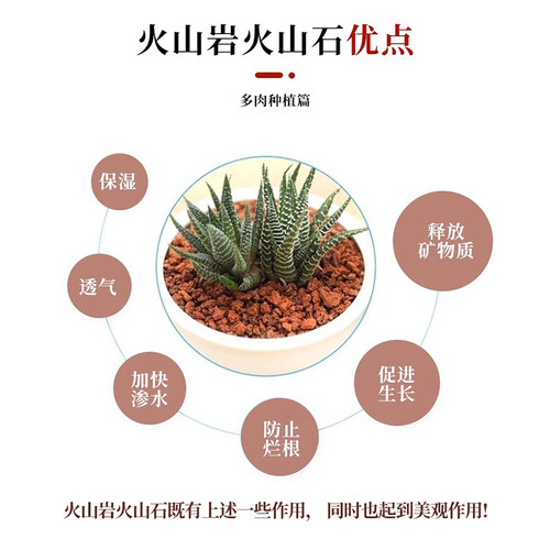 天然火山石颗粒铺面石园艺植料多肉土鱼缸养鱼乌龟造景底沙火山岩 - 图2