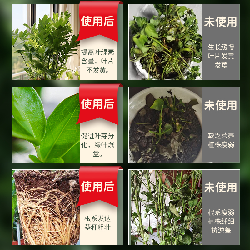金钱树专用营养液盆栽植物室内绿植养花种植通用氮磷钾复合花肥料 - 图1