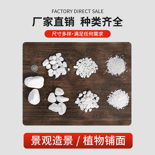 白石子天然鹅卵石雨花石多肉盆栽铺面庭院造景花盆装饰白色小石头 - 图1