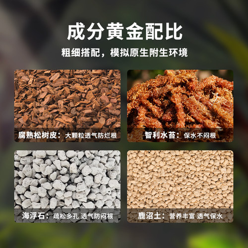 蝴蝶兰专用土透气松树皮毛毛虫水苔混合种植料颗粒文心石斛兰花土 - 图1